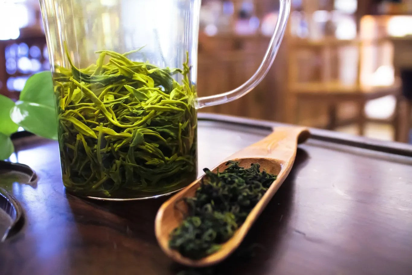 Green Tea