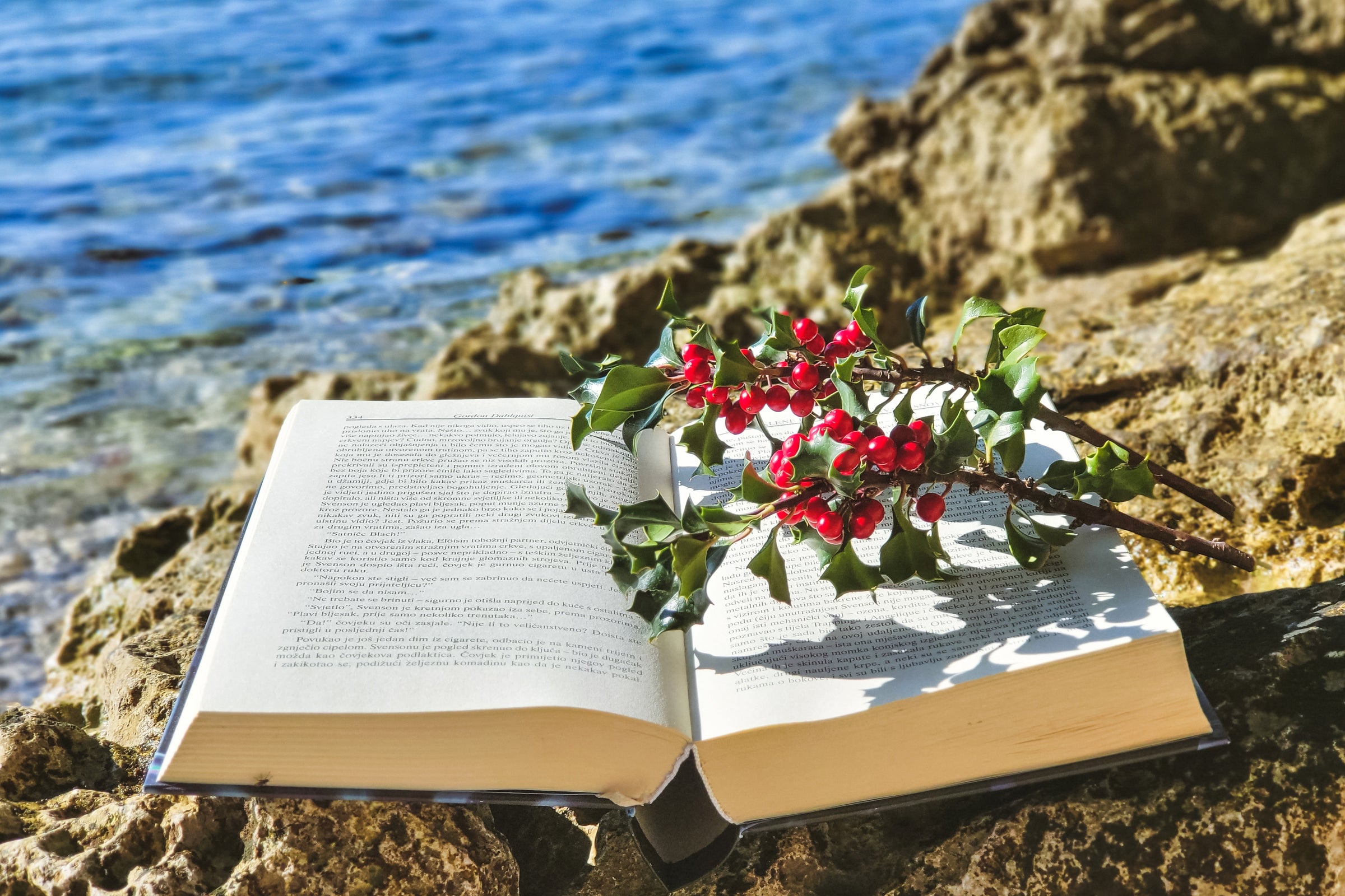Literary Theory & Criticism