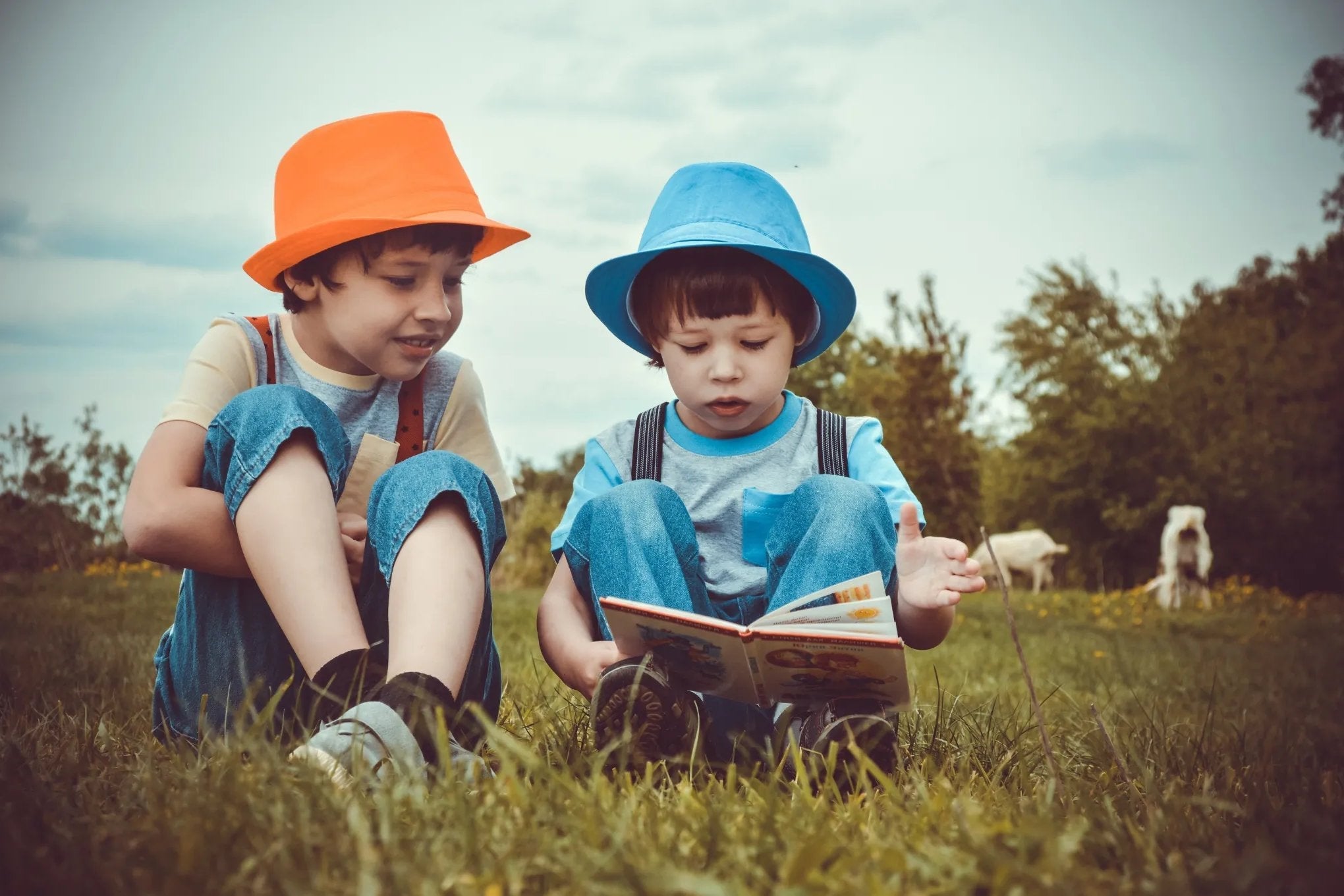 Stories & Emotional Learning