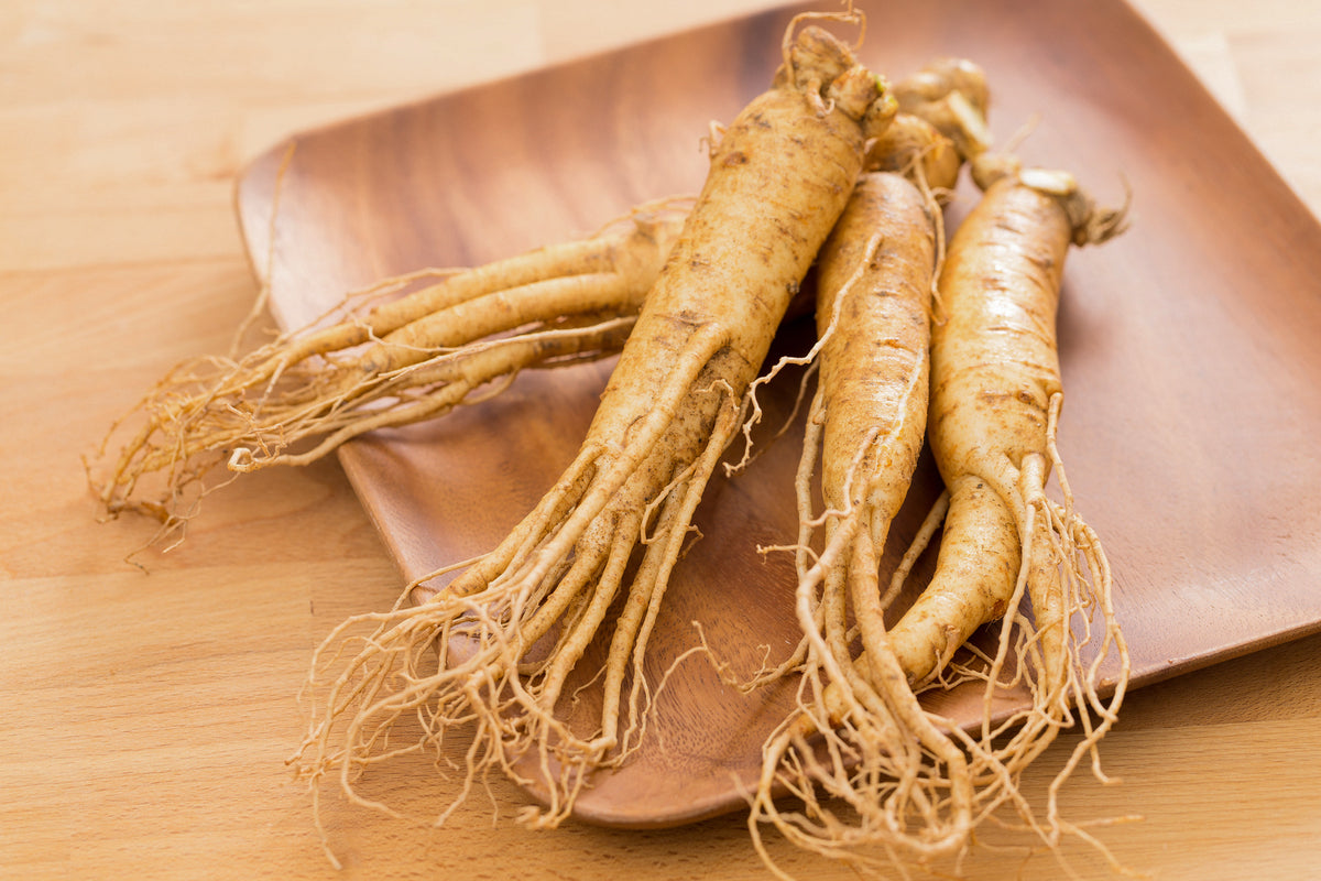 Ginseng