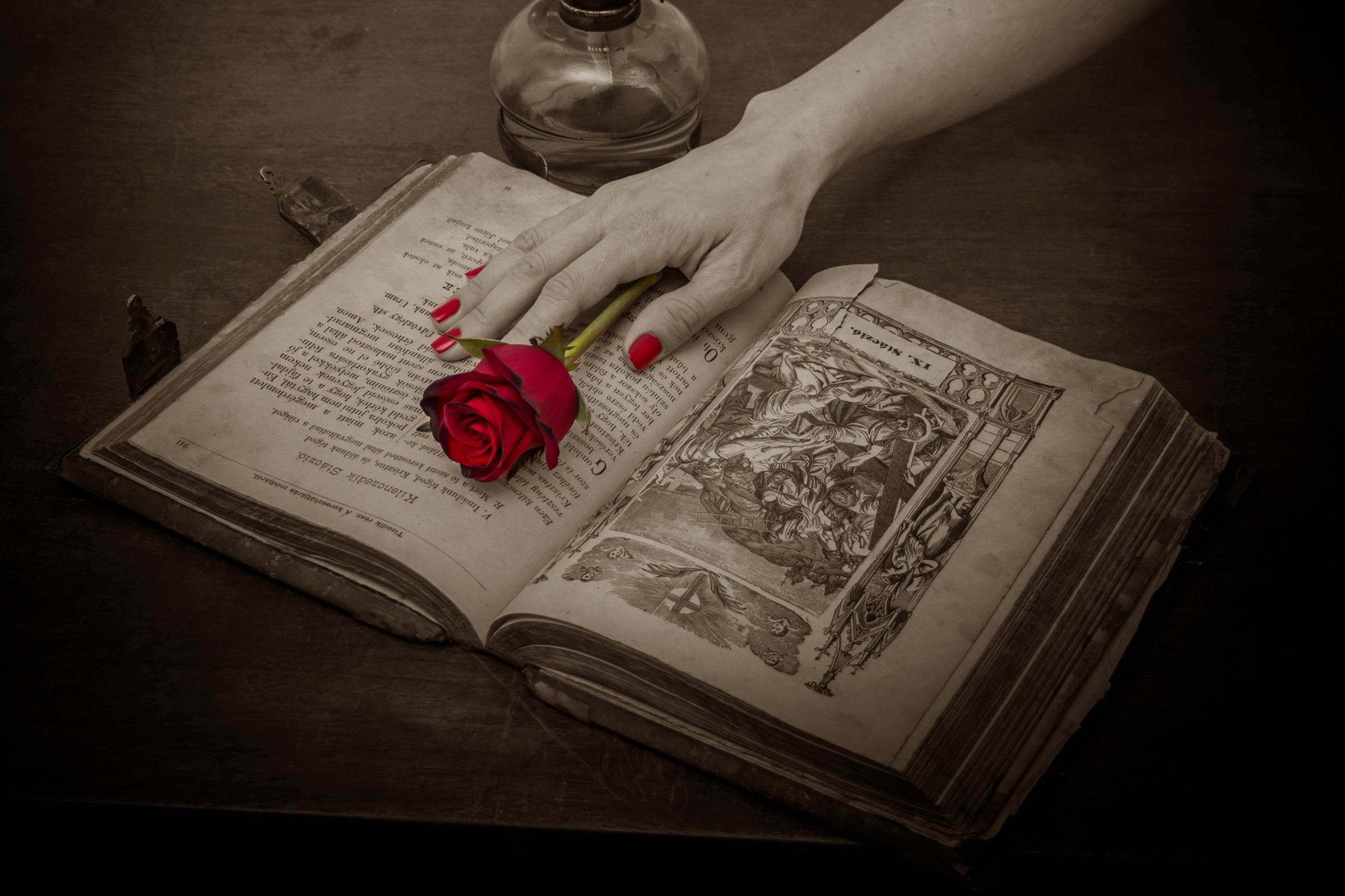 Literature & Sociopolitical Dynamics