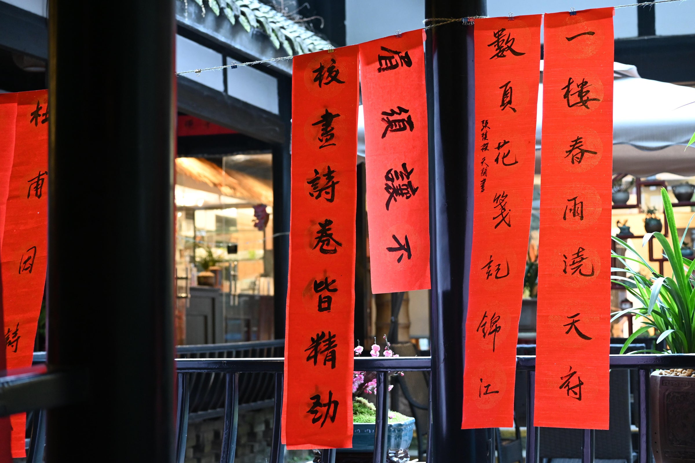 Banner (Tiáo Fú)