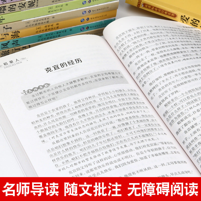 World Literature Classics - Biographies and Stories for Youth