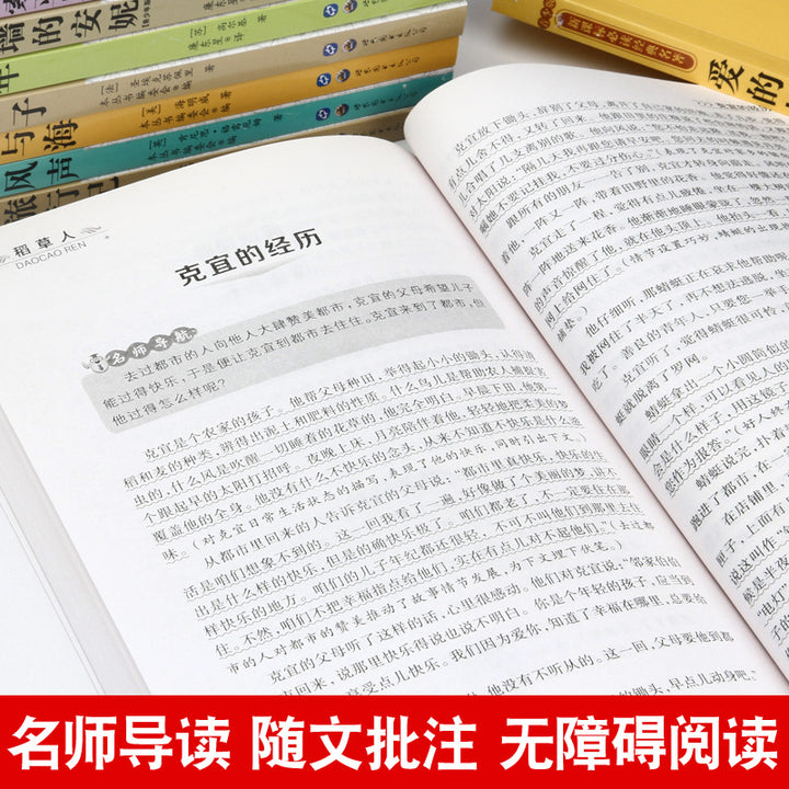 World Literature Classics - Biographies and Stories for Youth