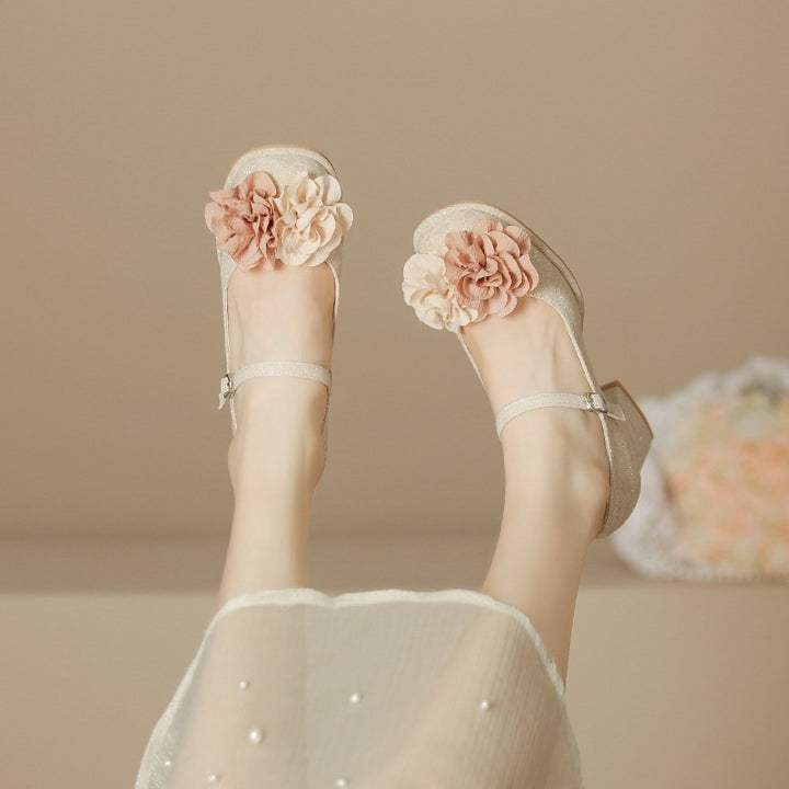 Zapatos Mary Jane para mujer 2025, nuevos zapatos de estilo chino, sandalias de punta redonda con una sola tira para mujer, tacones gruesos, tacones altos de boca baja para mujer