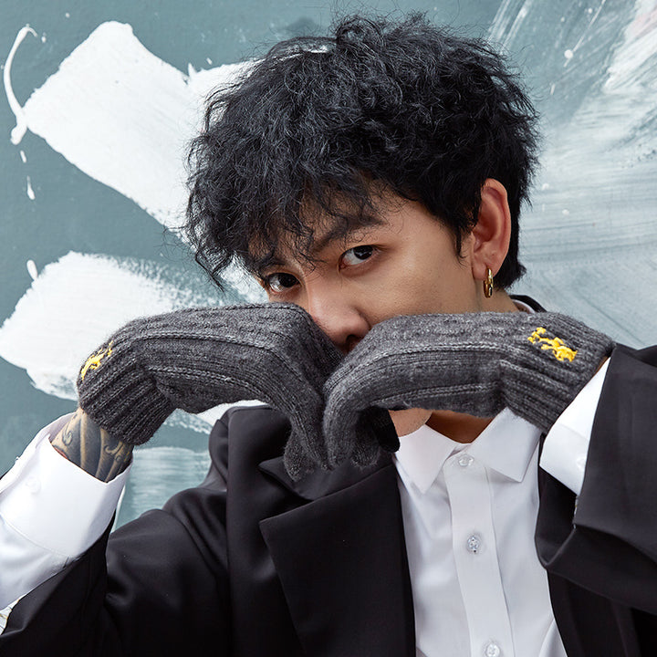 New Chinese Style Knitted Gloves for Men – Autumn/Winter Outdoor Thermal, Touchscreen, Anti-Slip, Cycling, Student Style (Model DZ80)