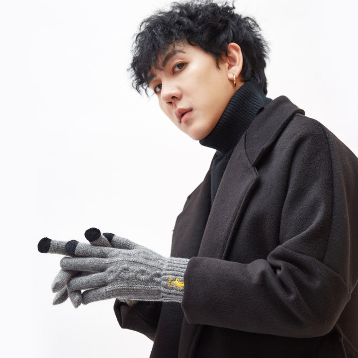 New Chinese Style Knitted Gloves for Men – Autumn/Winter Outdoor Thermal, Touchscreen, Anti-Slip, Cycling, Student Style (Model DZ80)